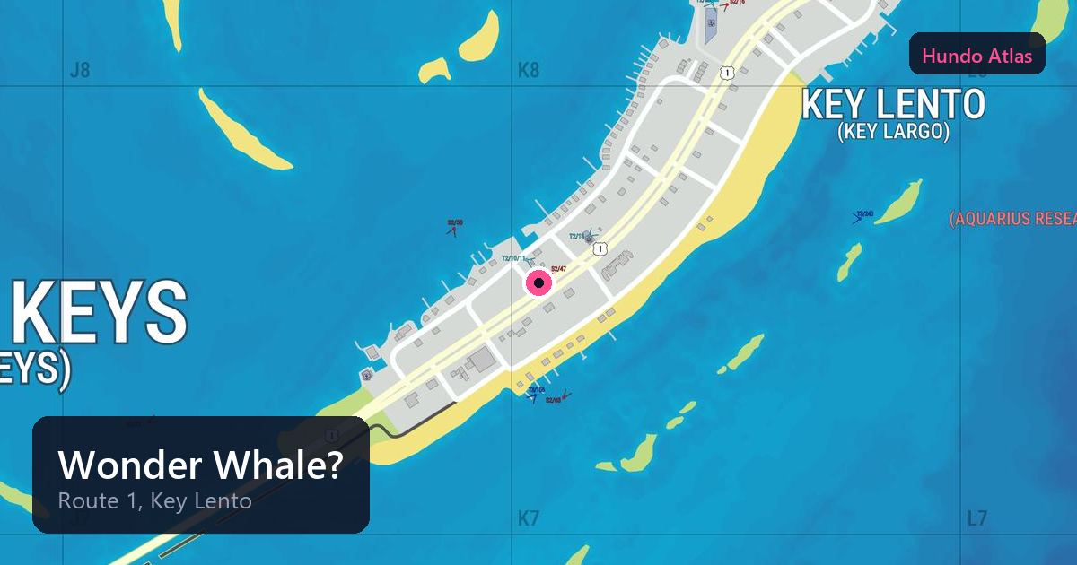 Wonder Whale?