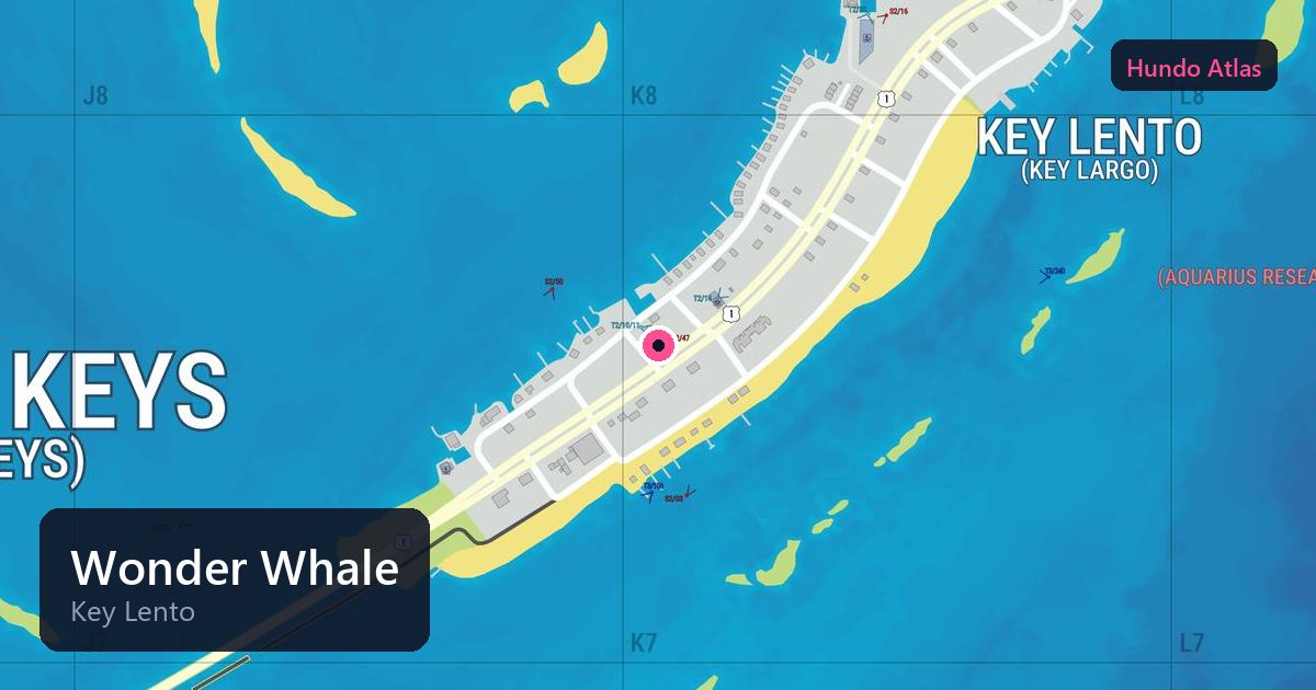 Wonder Whale